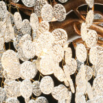 Фото 3 Люстра Лайма 467010706