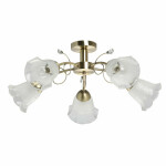 Фото Люстра Флора 670011005