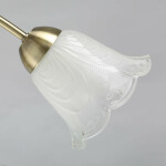 Фото 2 Люстра Флора 670011005