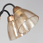 Фото 2 Люстра Дэла 635011406