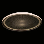 Фото 4 Люстра Норден 660014001