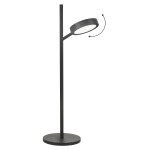 Фото Настольная лампа Crystal Lux CLT 027TL BL