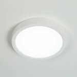 Фото 2 CL738120N Бейсик Белый Св-к Накл. LED 12W*4000K