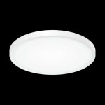 Фото 1 CL738320V Бейсик Белый Св-к Накл. LED 32W*Мульти