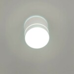 Фото 4 CL745020N Борн Белый Св-к Потол. 12W*4000K