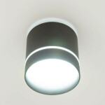 Фото 2 CL745021N Борн Черный Св-к Потол. 12W*4000K