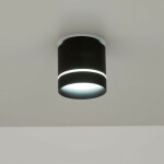 Фото 3 CL745021N Борн Черный Св-к Потол. 12W*4000K