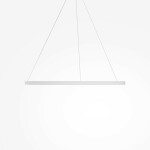 Фото 3 Подвесной светильник Maytoni MOD058PL-L54WK