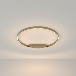 Фото Потолочный светильник Maytoni MOD058CL-L50BS3K