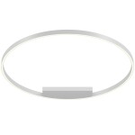 Фото 1 Потолочный светильник Maytoni MOD058CL-L65W3K