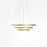 Фото 3 Подвесной светильник Maytoni MOD058PL-L100BSK