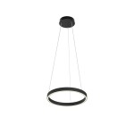 Фото Подвесной светильник Maytoni MOD058PL-L22BK