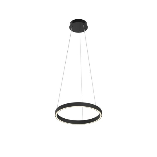 Фото Подвесной светильник Maytoni MOD058PL-L22BK