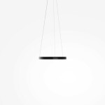 Фото 3 Подвесной светильник Maytoni MOD058PL-L22BK