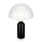 Фото 2 Настольный светильник Maytoni MOD177TL-01B