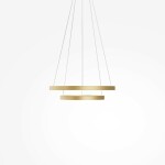 Фото 3 Подвесной светильник Maytoni MOD058PL-L55BSK