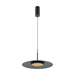 Фото Подвесной светильник Maytoni MOD041PL-L15B3K1