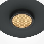 Фото 4 Подвесной светильник Maytoni MOD041PL-L15B3K1