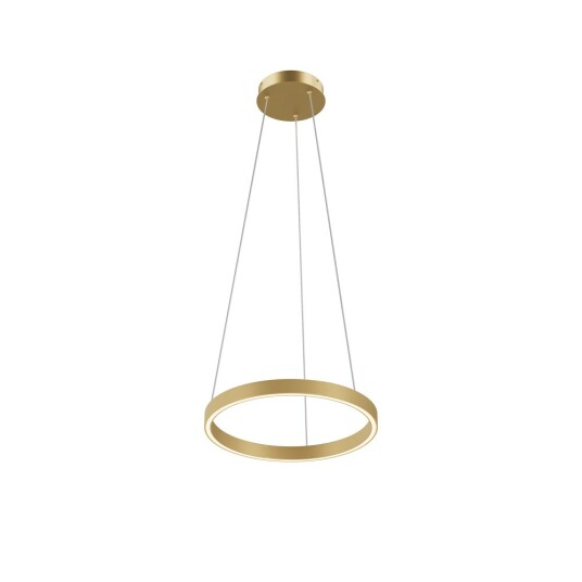 Фото Подвесной светильник Maytoni MOD058PL-L22BSK