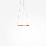 Фото 3 Подвесной светильник Maytoni MOD058PL-L22BSK