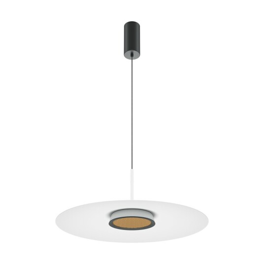 Фото Подвесной светильник Maytoni MOD041PL-L15W3K1