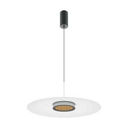 Фото Подвесной светильник Maytoni MOD041PL-L15W3K1