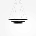 Фото 4 Подвесной светильник Maytoni MOD058PL-L100BK