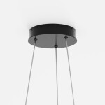 Фото 4 Подвесной светильник Maytoni MOD058PL-L32BK