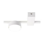 Фото 4 Потолочный светильник Freya FR5363CL-01W