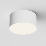 Фото 3 Потолочный светильник Technical C032CL-12W4K-RD-W