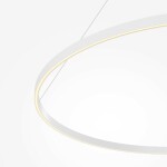 Фото 1 Подвесной светильник Maytoni MOD058PL-L65WK