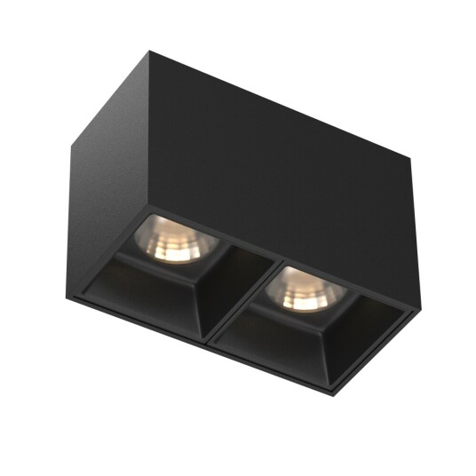 Фото Потолочный светильник Technical C065CL-02-L12W3K-B