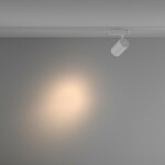 Фото 3 Трековый светильник Technical TR029-3-20W3K-S-W