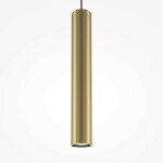 Фото 3 Подвесной светильник Maytoni MOD161PL-01G1