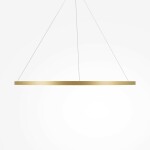 Фото 3 Подвесной светильник Maytoni MOD058PL-L65BSK