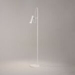 Фото 4 Напольный светильник (торшер) Maytoni MOD129FL-01W