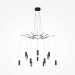 Фото 2 Подвесной светильник Maytoni MOD035PL-12B