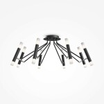 Фото 1 Потолочный светильник Maytoni MOD620CL-16B